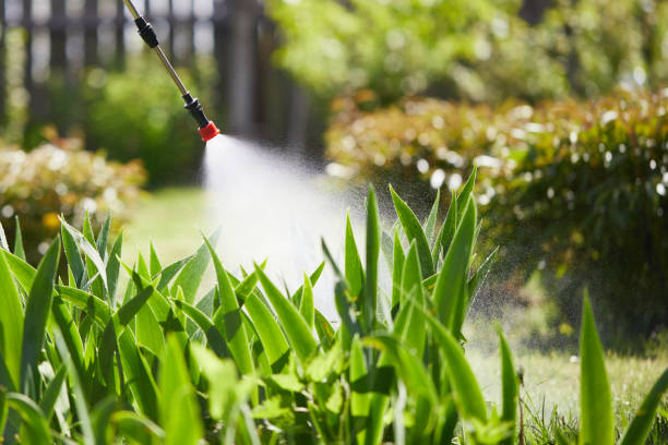 24/7 Emergency Termite Control experts in Barbourville, KY