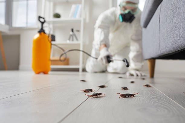 Trusted Fumigation Services service in Barbourville, KY - Nex Pest Control