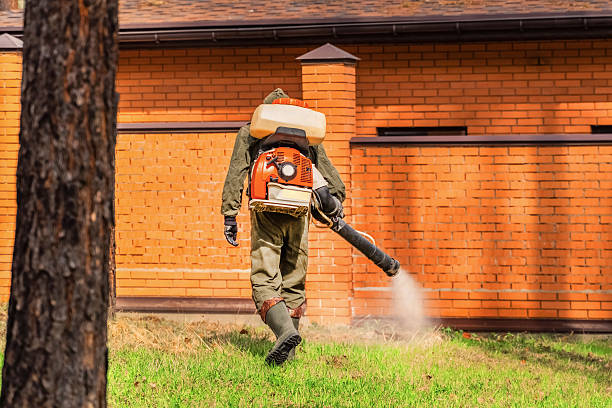 Trusted Ant Control service in Barbourville, KY - Nex Pest Control